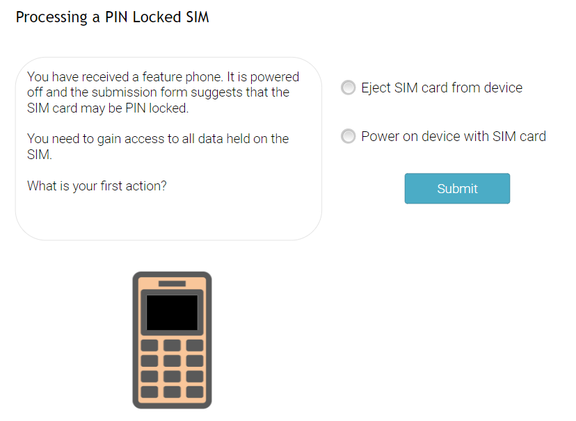 Screenshot of interactive SIM card exercise